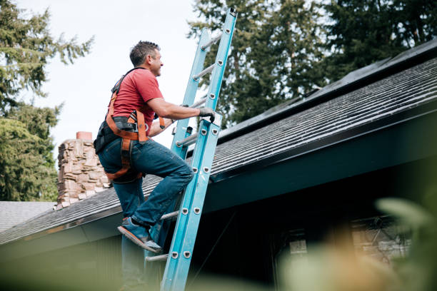 Best Gutter Installation and Repair  in Young Harris, GA